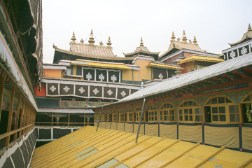 ��S�w���猩���������Q