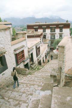 ����̍⓹�P