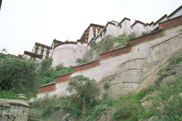 ���쑤���猩�グ���|�^���{