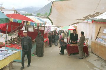 �|�^���{���̘I�V