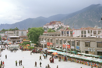 �W���J�����猩���|�^���{