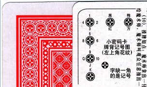 �O���u�g�����v�̍׍H